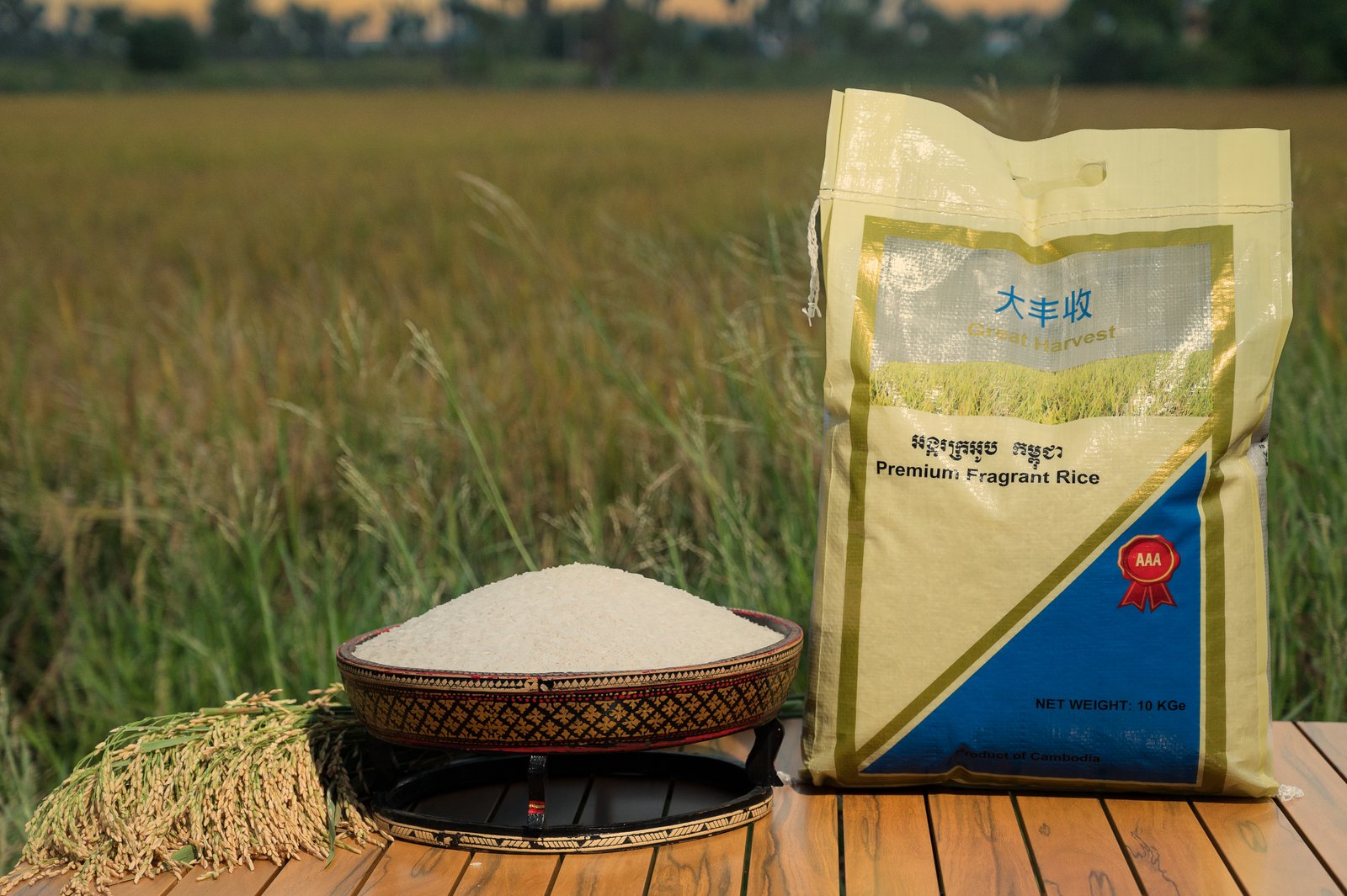 Why Cambodian Jasmine Rice Is Popular Worldwide