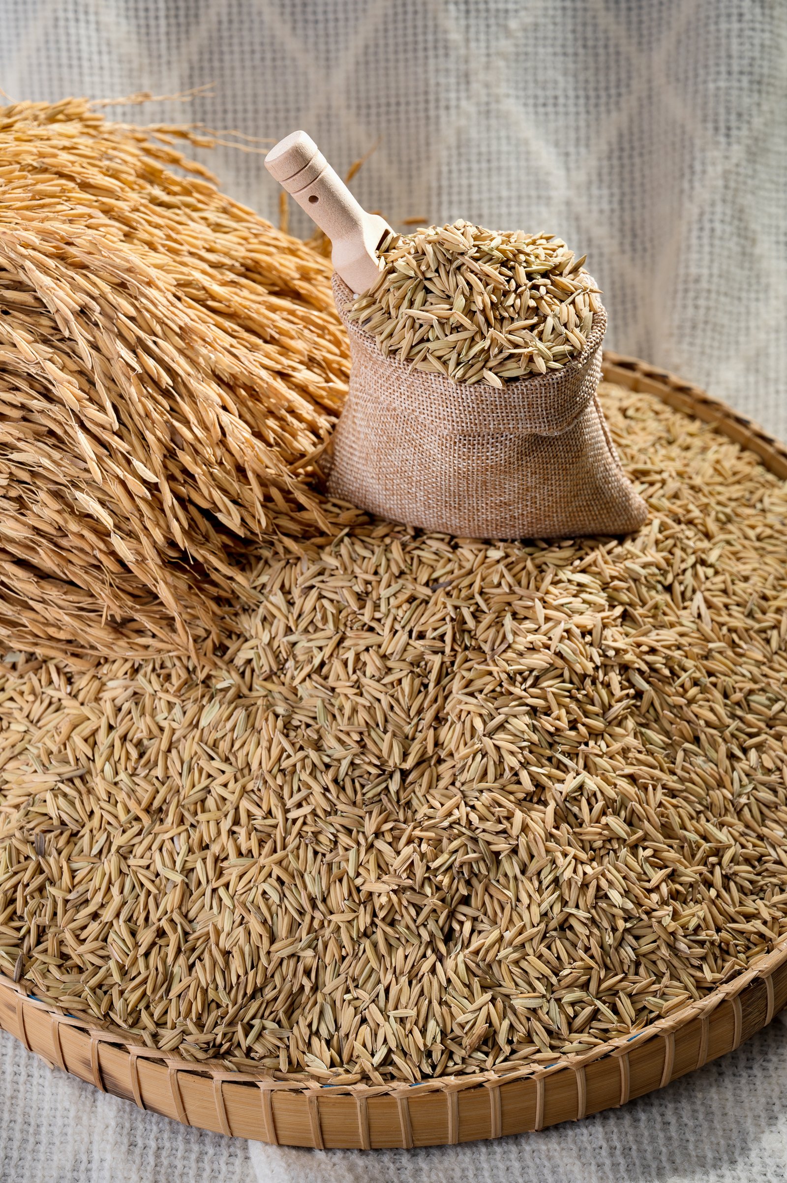 Choosing a Rice Supplier in Cambodia